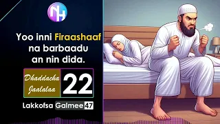 Yoo Inni Firaashaaf Na Barbaadu Ani Nin Dida Dhaddacha Jaalalaa 22 