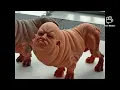 Cursed Dog Images
