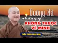Download Lagu Đừng cố Níu Kéo những gì không thuộc về mình - Pháp thoại Thầy Thích Pháp Hòa