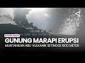 Lagu Waspada! Gunung Marapi erupsi, muntahkan abu vulkanik setinggi 1600 meter
