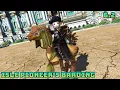 FFXIV Isle Pioneer s Barding - 6 2
