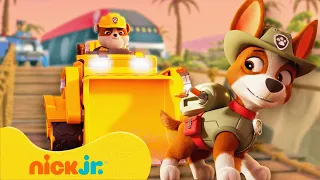 Patrulha Canina | Os Resgates Mais Irados da Selva da Patrulha Canina! 🌴🐾 | 90 Minutos | Nick Jr.