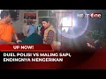 Lagu Detik-detik Pengejaran Maling Sapi, Sempat Adu Senjata Tajam dengan Polisi | UP NOW!