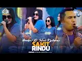 Download Lagu Sakit Rindu - Brodin ft Icha Kiswara New Pallapa (live Petraka 2024) | Season X