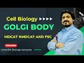 MDCAT Biology Golgi Body Structure and Function Cell Biology