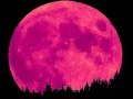 Nick Drake -  pink moon -   Stereo Remaster