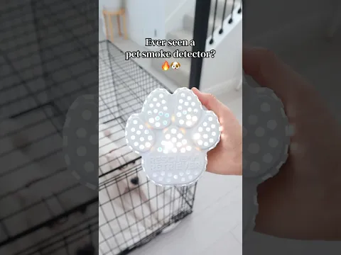 To ever invented this … pet owners everywhere thank you 🙏 #pet #pets