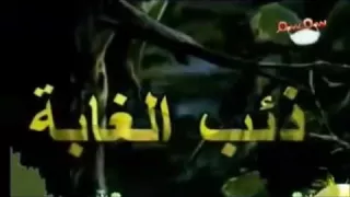 الفيلم الكرتوني ذئب الغابة بدون موسيقى 2016 