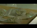 Burning question Will Nyack opt out of retail cannabis dispensaries and lounges