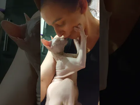 Cuteness Level 💞 MAXIMUM #cats #shortvideo #short