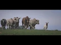 Total Feeds - Our Brand