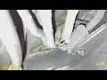 HONDA ODYSSEY 2000-2004 P1456 EVAPORATIVE EMISSIONS CODE