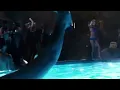Project X Pool Scene