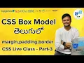 CSS Full Course in Telugu Part-3 CSS Box Model Explained in Telugu Web Development Tutorial