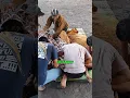 Bezeten door duisternis: een spookachtig moment van strijd met boze geesten 🔥..