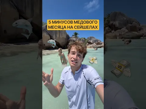 Наш медовый месяц на Сейшелах 🤯