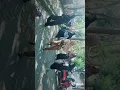 Download Lagu TikTok Lg Viral ibu-ibu milenial