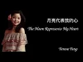 Download Lagu Teresa Teng - The moon represents my heart