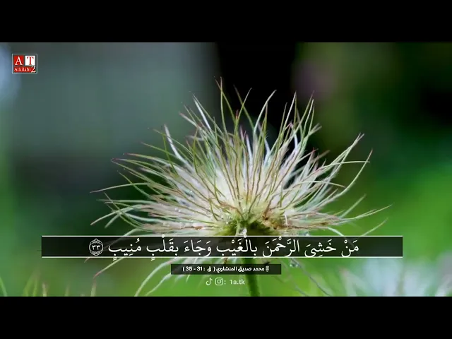 ⁣وَأزلِفَتِ الْجنَةُ لِلْمُتَّقِينَ غَير بَعيدٍ .. || يااسلام على الجماال .. الشيخ محمد صديق المنشاوي