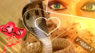 موسيقى الأفعى كبرى 