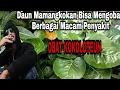 Download Lagu Obat Kokoloteun
