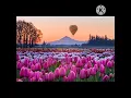 Download Lagu Pelabuhan Cinta - Poppy Mercury - Harbor Love