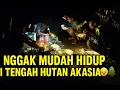 Download Lagu “Suka Duka Hidup di Hutan Akasia – Kisah Nyata di Tengah Kebun”