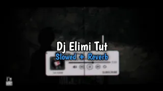 Download DJ ELIMI TUT Slowed + Reverb🎧 MP3