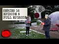 Download Lagu Series 16, Episode 5 - 'Skateboard Division' | Full Episode | Taskmaster