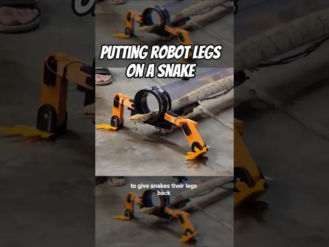 I gave snakes there legs back