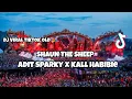 Download Lagu DJ VIRAL TIKTOK OLD ‼️ SHAUN THE SHEEP - Adit Sparky x Kall Habibie Nwrrmxx FULLBASS
