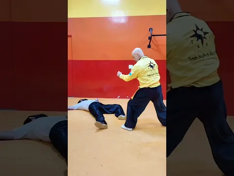 TSKF Kung Fu Equilíbrio em todos os sentidos, defesa pessoal inteligente