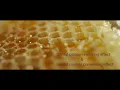 Propolis Toothpaste Atomy toothpaste
