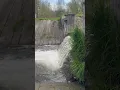 Download Lagu What a amazing place// Amazing spring// Lublin, Poland 🇵🇱