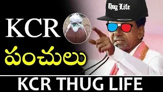 kcr thug life boldest cm ever cm kcr thug life telugu talkies