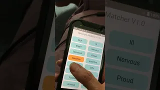 Synonym Matcher App