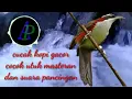 Download Lagu Burung cucak kopi gacor cocok untuk masteran dan suara pancingan 2 menit nyaut