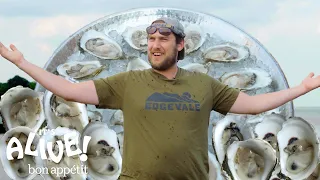 Brad Explores an Oyster Farm It s Alive Bon Appetit