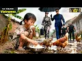 Download Lagu Cô Bé Đói Lả Phải Giành Ăn Với Gà, Bất Ngờ Mẹ Mất Tích 8 Năm Trở Về Thành Tỷ Phú Điên Cuồng Tìm Con