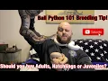 Ball Python 101 Breeding Tip Should you purchase adults hatchlings or juveniles
