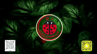 محمود الليثي انا البطل يا وحوش نشرة الاخبار ابو السيد 2024 DJ COCCINELLE REMIX 