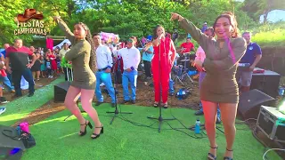 ¡Es imposible no bailar con este ritmo! de Rene y su chanchona Etiqueta a tu pareja de baile. 🎶
