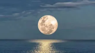 أجمل موسيقى كرديه حزينه   يبحث عنها الجميع   دندنها