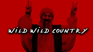 kicking and streaming 2 wild wild country