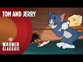 Download Lagu Tom and Jerry | Mega Compilation | Vol. 12 | Warner Classics