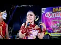 Download Lagu MISTER MENDEM - CAMPURSARI DARU AJI HAPPY WEDDING AZIS \u0026 DA SHILVA NGELOWETAN MIJEN DEMAK