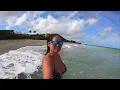 Swim in the Ocean