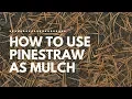 How to Lay Pinestraw Catherine Arensberg