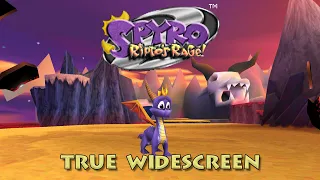 Spyro 2 Ripto s Rage - Full 100 Walkthrough True Widescreen