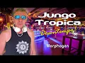 Download Lagu Downtempo \u0026 Organic House | Koh Samui Beachclub Set | MORPHOGEN